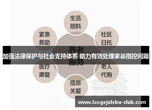 加强法律保护与社会支持体系 助力有效处理家暴指控问题