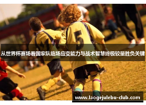 从世界杯赛场看国家队临场应变能力与战术智慧终极较量胜负关键